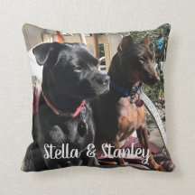 Coussin de noms d'animal domestique indiquant