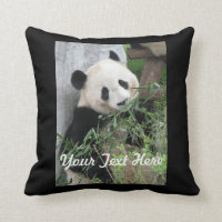 Coussin de panda, dos solide de noir