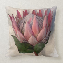 Coussin de papier d'aquarelle King Protea