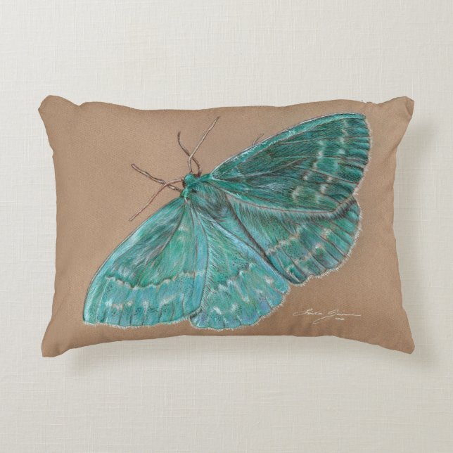 Coussin de papillon de turquoise (Devant)