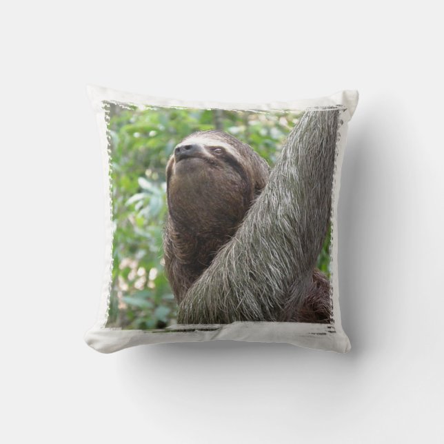 Coussin de paresse botté avec la pointe du pied (Recto)
