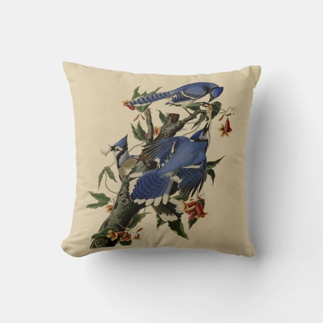 Coussin de peinture de geai bleu (Recto)