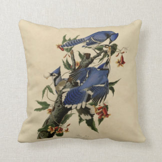 Coussin de peinture de geai bleu