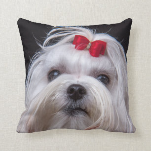 Coussin de petit chien de jouet blanc de chien