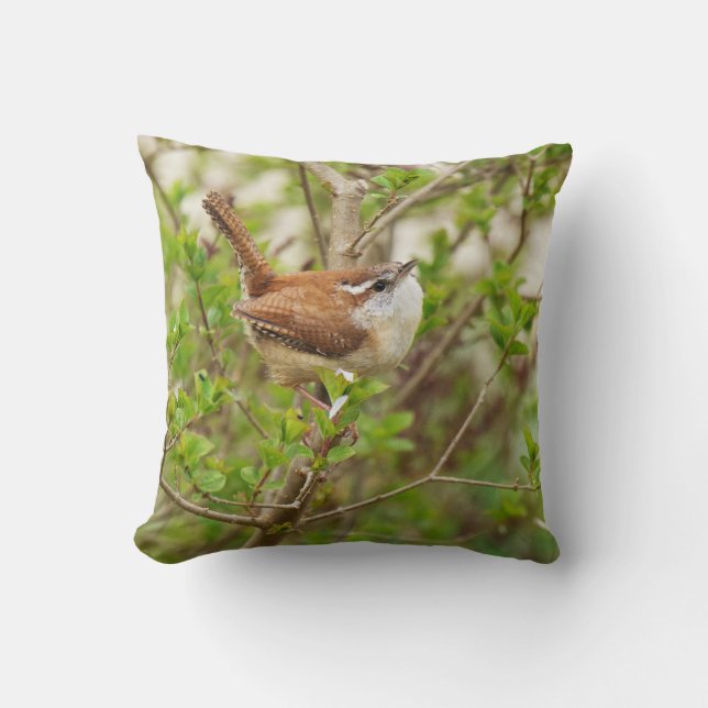 Coussin de photo d'oiseaux de Chambre (Recto)