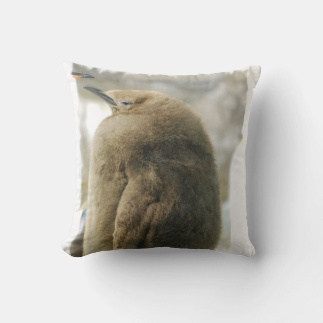 Coussin de pingouin de bébé (Recto)