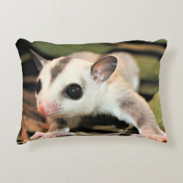 Coussin de planeur de sucre