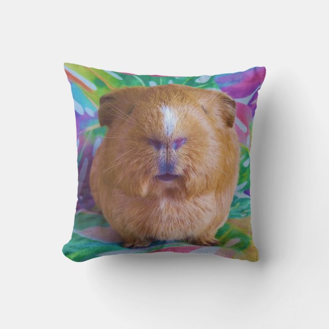 Coussin de porc (Recto)