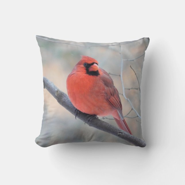 Coussin de Pose du Cardinal Rouge (Recto)