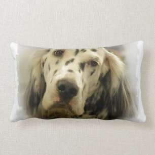 Coussin de poseur anglais