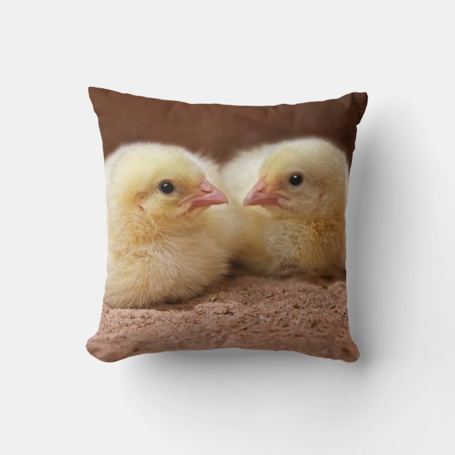 Coussin de poussins (Recto)