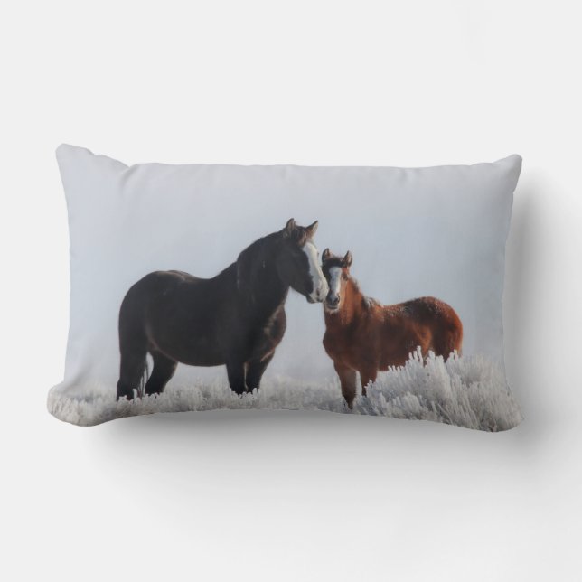 Coussin de randonneur/danseur du ciel (Recto)