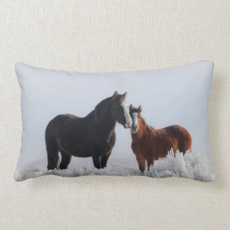 Coussin de randonneur/danseur du ciel