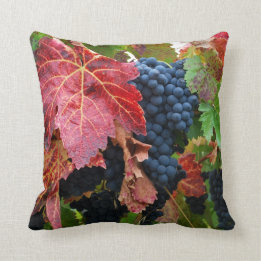 Coussin de récolte de raisin