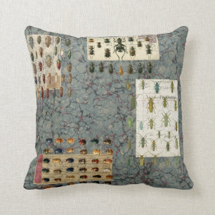Coussin de scarabée