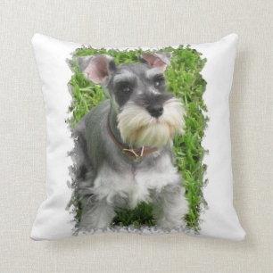 Coussin de Schnauzer miniature