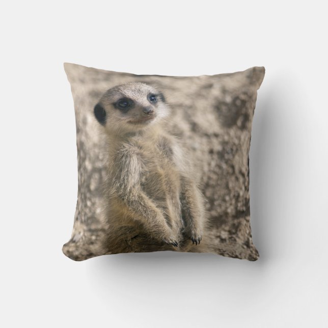 Coussin de Sentinelle-dans-Formation (Recto)