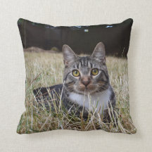 Coussin de Skooter