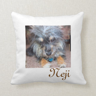 Coussin de Sokka Neji