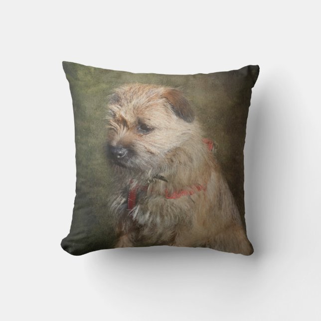 Coussin de Terrier de frontière (Recto)