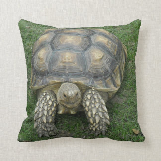 Coussin de tortue