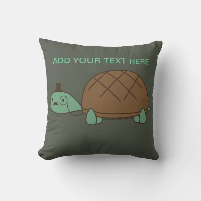 Coussin de tortue de monsieur (Recto)