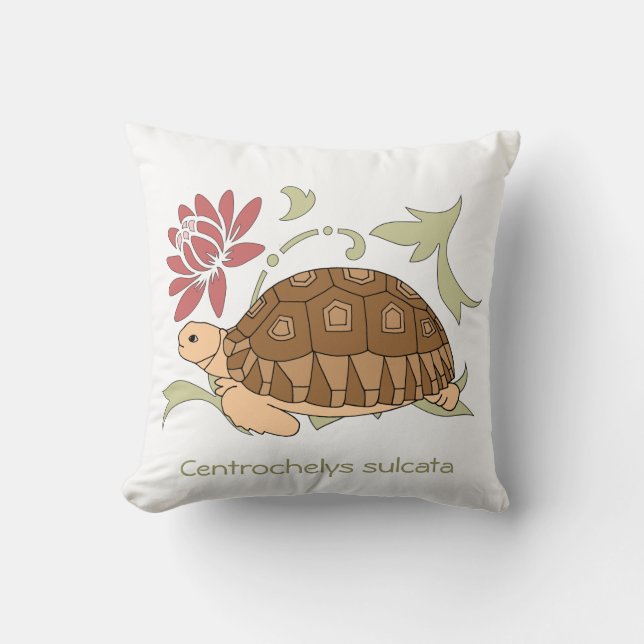 Coussin de tortue de Sulcata de bébé (Recto)