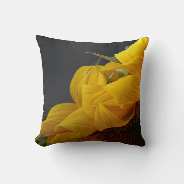 Coussin de tournesol (Recto)
