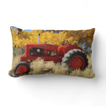 Coussin de traçabilité Lumbar du WD45 1955
