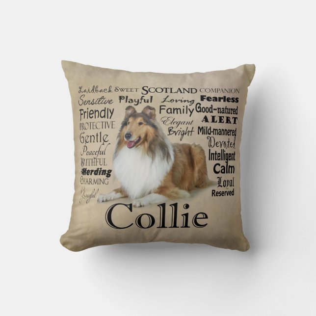 Coussin de traits de colley (Recto)