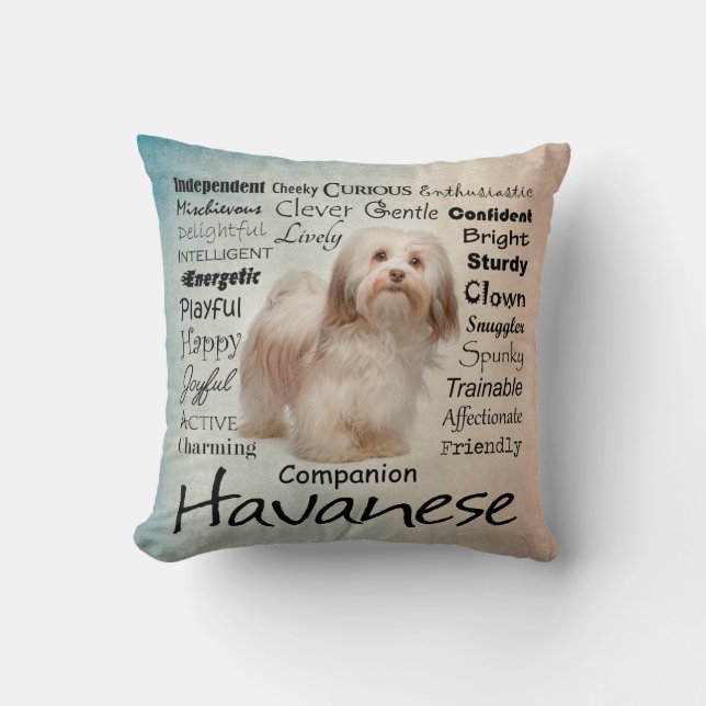 Coussin de traits de Havanese (Recto)