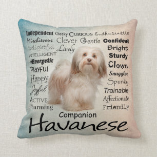 Coussin de traits de Havanese