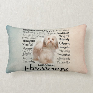 Coussin de traits de Havanese
