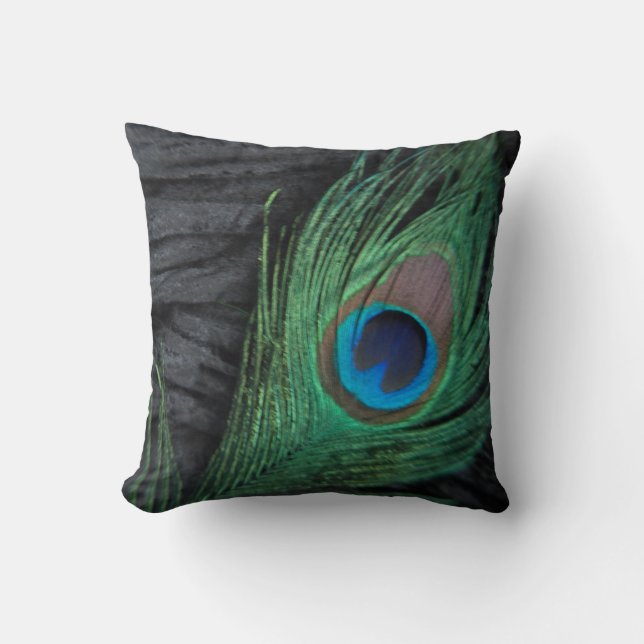 Coussin De velours de paon de plume toujours photographie (Recto)