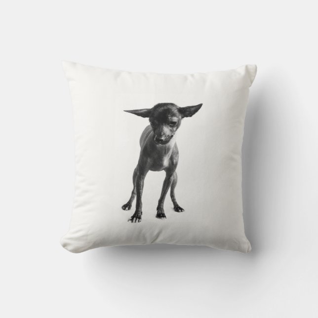 Coussin de Xoloitzcuintle (Recto)