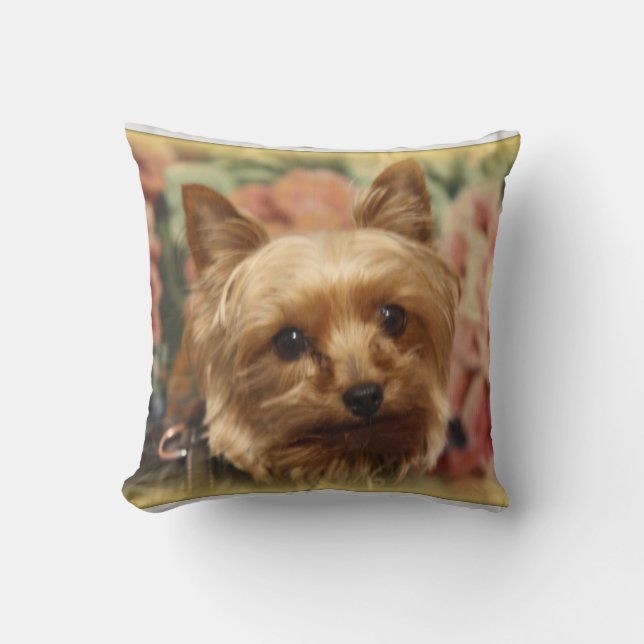 Coussin de Yorkie (Recto)