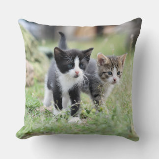 Coussin décoratif à jeter avec de mignons chatons