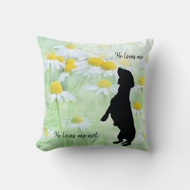 Coussin décoratif Dachshund Daisy (Recto)