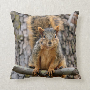 Coussin d'écureuil de renard