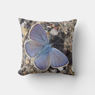 Coussin Dekokissen blauer Schmetterling