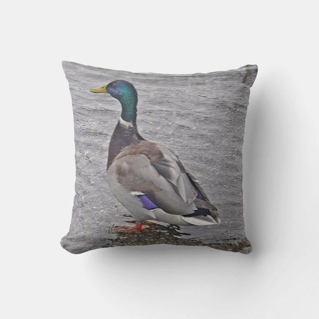 Coussin Dekokissen Ente (Recto)