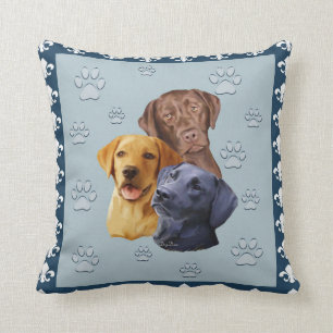 Coussin des trois laboratoires