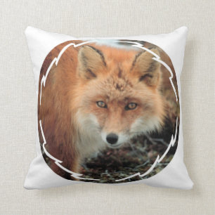 Coussin d'espèces de Fox