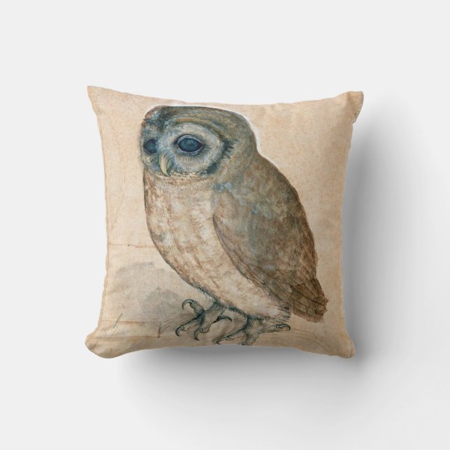 COUSSIN DESSINS D'ANIMAUX DE LA RENAISSANCE / LE HIBOU (Recto)