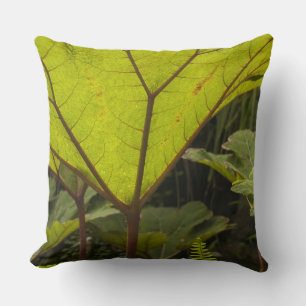 Coussin Détail de plante dans un jardin botanique, Équateu