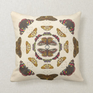Coussin Détaillez du plat VII