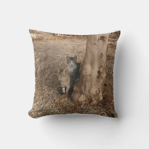 COUSSIN DEUX CHAUSSURES DANS UN CHAMP D'ART D'IMAGE ORIGIN