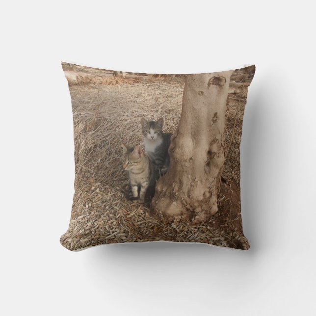 COUSSIN DEUX CHAUSSURES DANS UN CHAMP D'ART D'IMAGE ORIGIN (Recto)