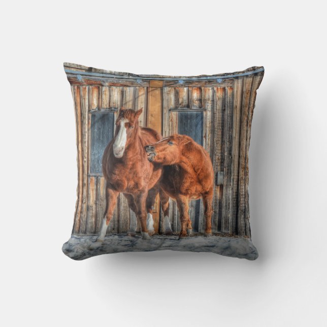 Coussin Deux Chevaux Cheeky et une photo d'équine d'étable (Recto)