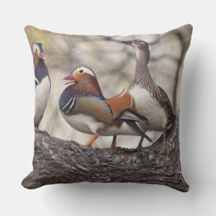 Coussin Deux mâles se disputant une femelle canard mandari